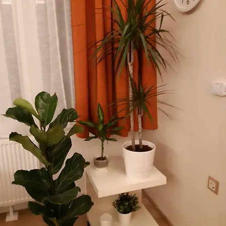 Modern, Quiet & Cozy In The Middle Of Downtown Near Danube At Fashion Street Apartmán *